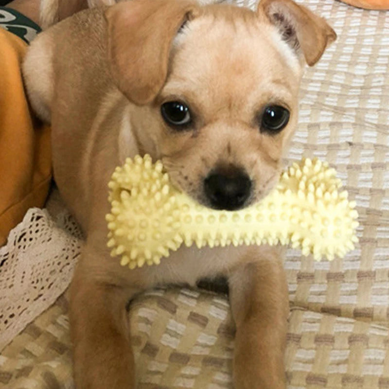 TPR Knot Chew Toy for Small Dogs – Bite-Resistant Molar & Training Toy