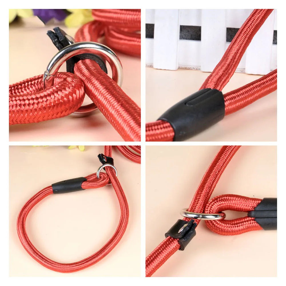 Nylon Slip Rope Dog Leash – No-Pull Training Lead for Small Dogs