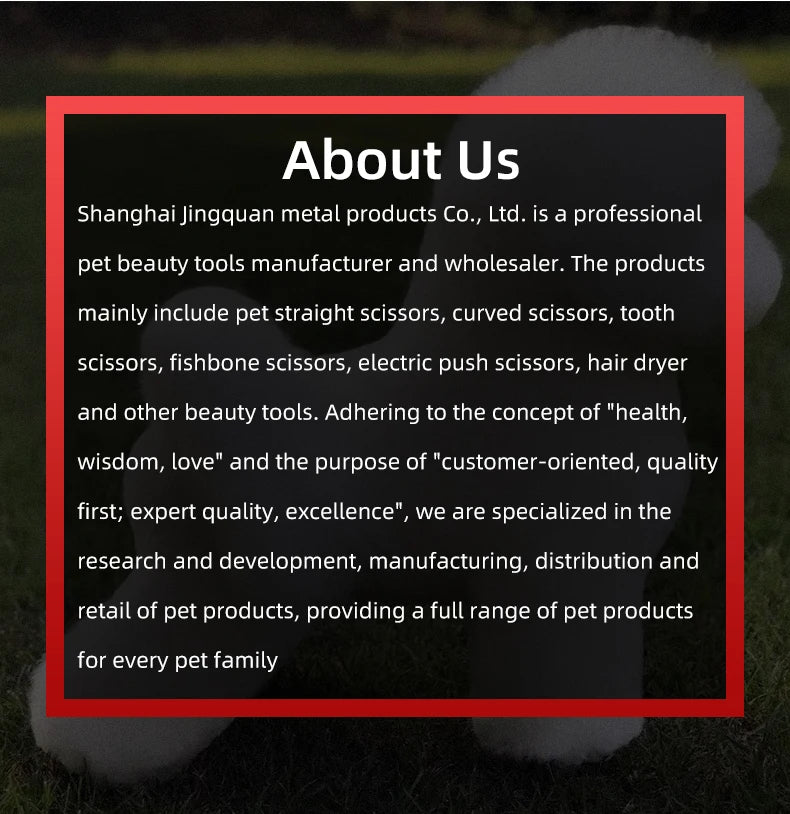 🐩 Pet Grooming Practice Model Dog – Full-Body Simulation Teddy with Realistic Synthetic Hair ✂️💇‍♀️