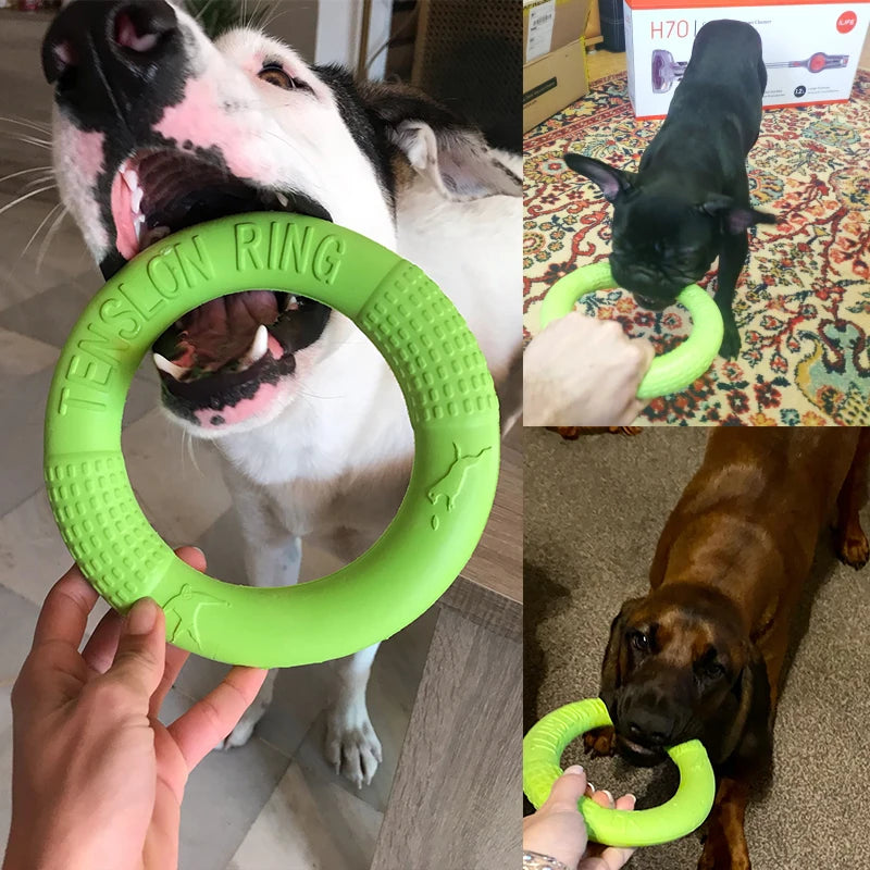 EVA Interactive Training Ring Puller – Durable Flying Disc Dog Toy for Large & Small Dogs