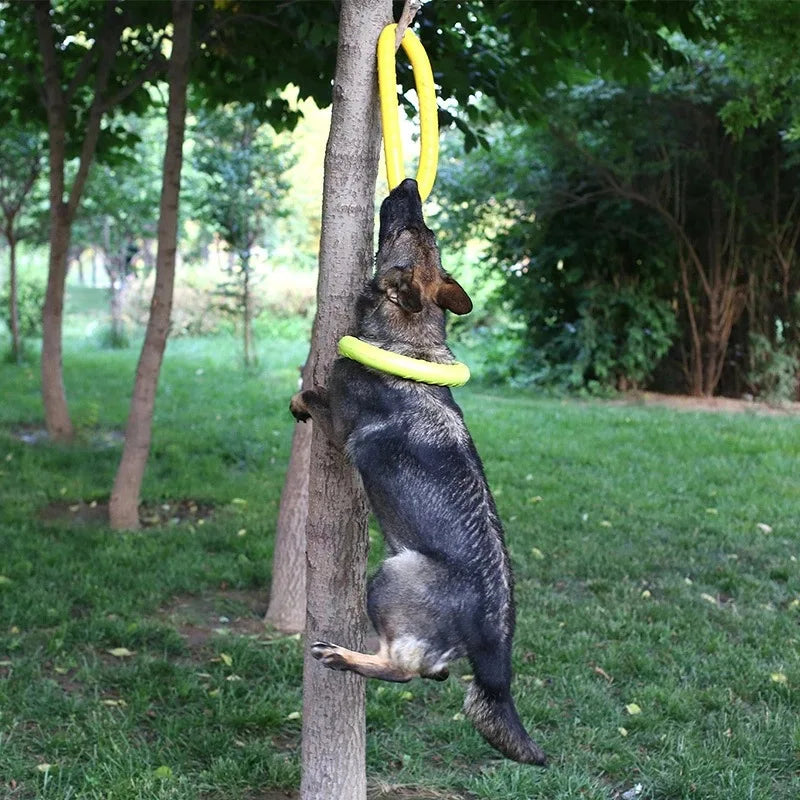 EVA Interactive Training Ring Puller – Durable Flying Disc Dog Toy for Large & Small Dogs