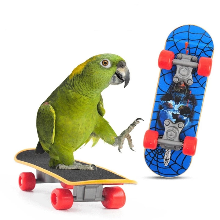 1 PC Parrot Training Skateboard – Bird Skates Perch for Lovebirds, Canaries & Calopsita