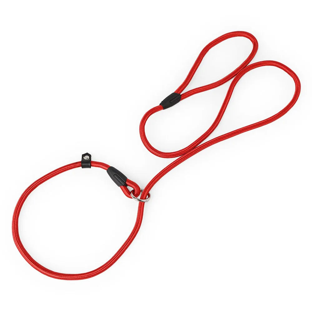 Nylon Slip Rope Dog Leash – No-Pull Training Lead for Small Dogs