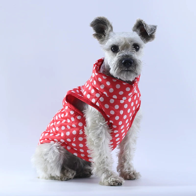 Winter Warm Dog Jacket – Windproof Pet Coat for Small Dogs, Chihuahua, French Bulldog, Yorkie