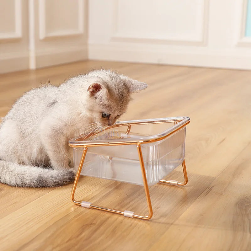 🐾 Pet Double Bowl with Raised Golden Stand – Transparent Cat & Dog Feeder