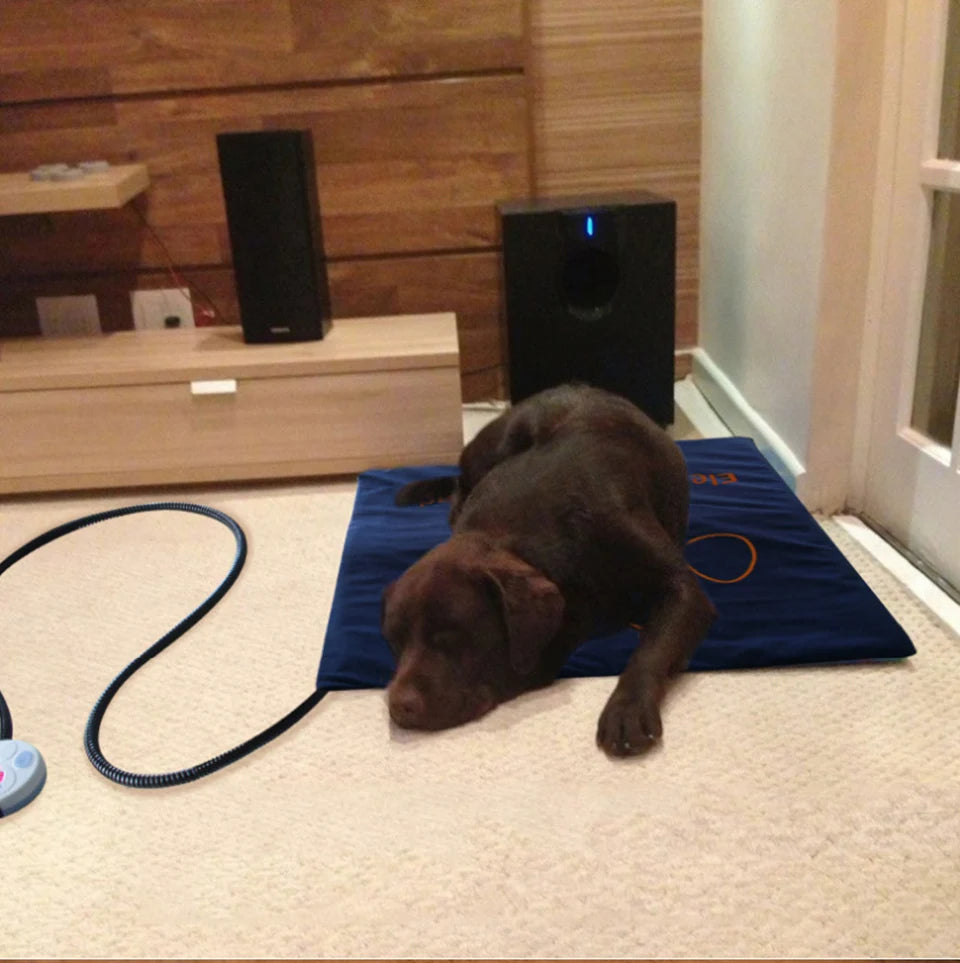 Waterproof Electric Pet Heating Pad – Adjustable Temperature Winter Warmer Blanket for Dogs & Cats