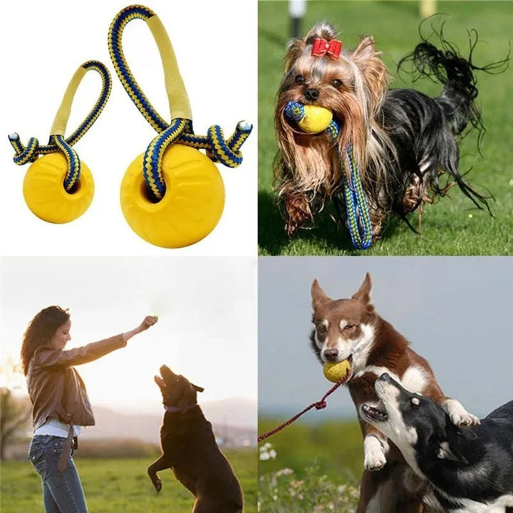 Rubber Dog Training Ball – Indestructible Chew & Fetch Toy 🐾⚽