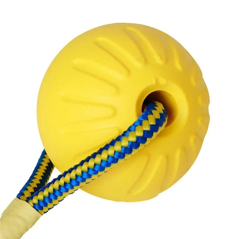 Rubber Dog Training Ball – Indestructible Chew & Fetch Toy 🐾⚽