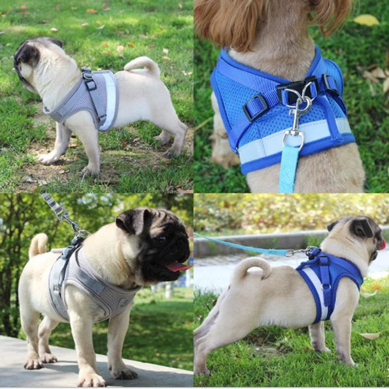 🐾 Adjustable Mesh Dog Harness & Leash Set – Breathable Vest with Collar and Traction Rope (XS–XL)