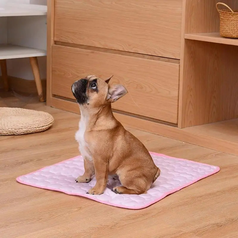 Cooling Dog Mat Summer Pad – Breathable, Washable Pet Blanket & Sofa Bed for Small, Medium, Large Dogs and Cats – Portable for Car Use