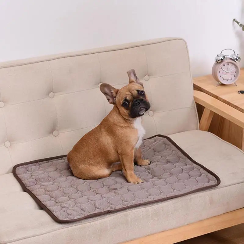 Cooling Dog Mat Summer Pad – Breathable, Washable Pet Blanket & Sofa Bed for Small, Medium, Large Dogs and Cats – Portable for Car Use