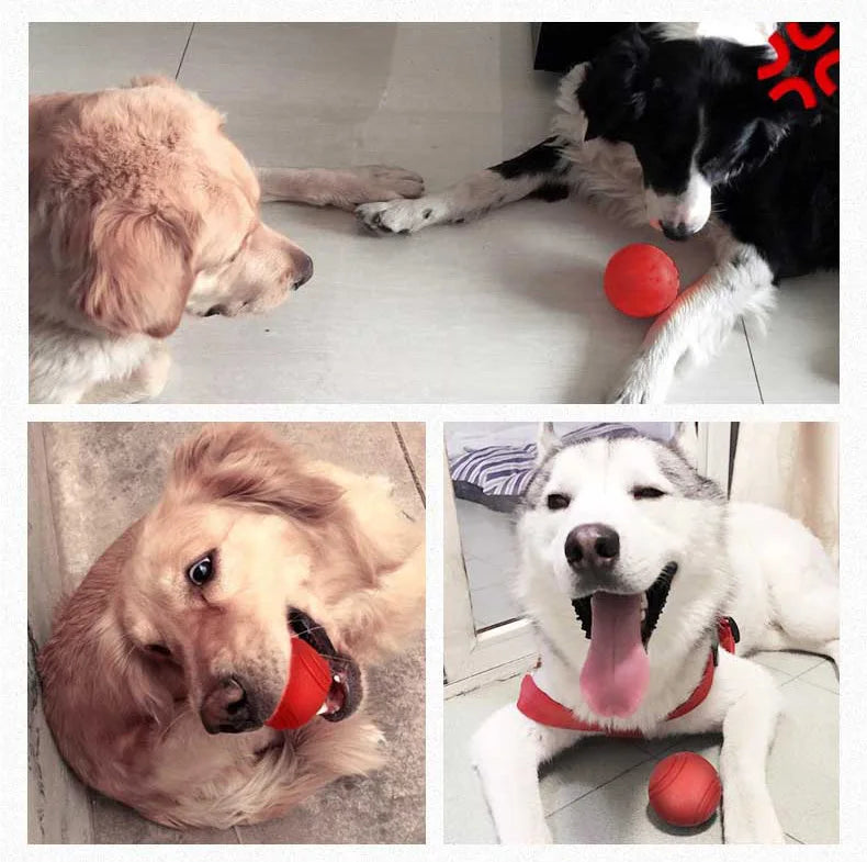 HOOPET Rubber Dog Ball – Bite-Resistant Toy for Small to XL Dogs