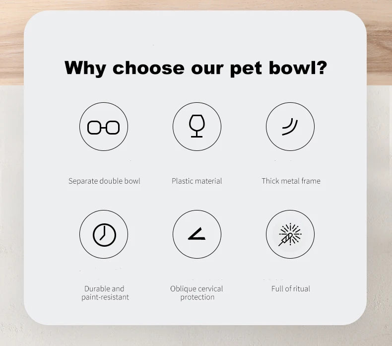 🐾 Pet Double Bowl with Raised Golden Stand – Transparent Cat & Dog Feeder