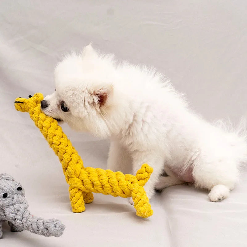 Bite-Resistant Rope Knot Ball Chew Toy for Small Dogs – Teeth Cleaning Puppy Toy