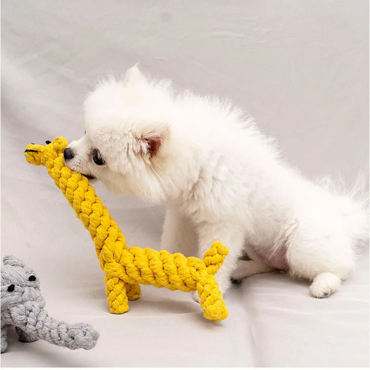Bite-Resistant Rope Knot Ball Chew Toy for Small Dogs – Teeth Cleaning Puppy Toy