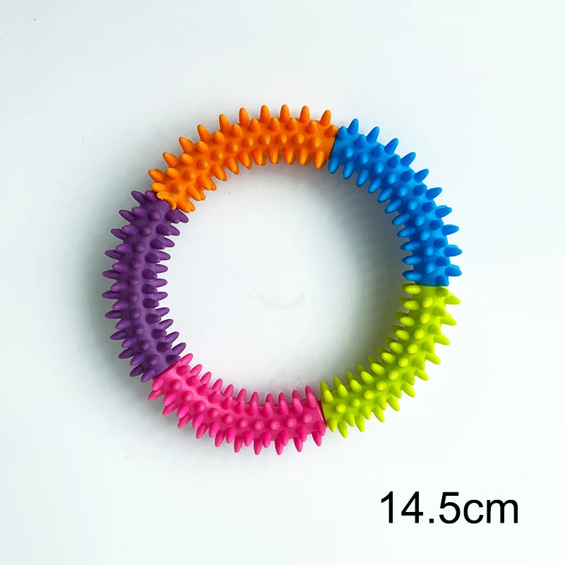 EVA Interactive Training Ring Puller – Durable Flying Disc Dog Toy for Large & Small Dogs