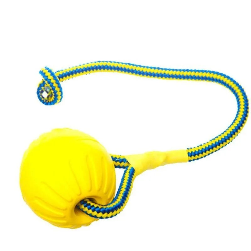 Rubber Dog Training Ball – Indestructible Chew & Fetch Toy 🐾⚽