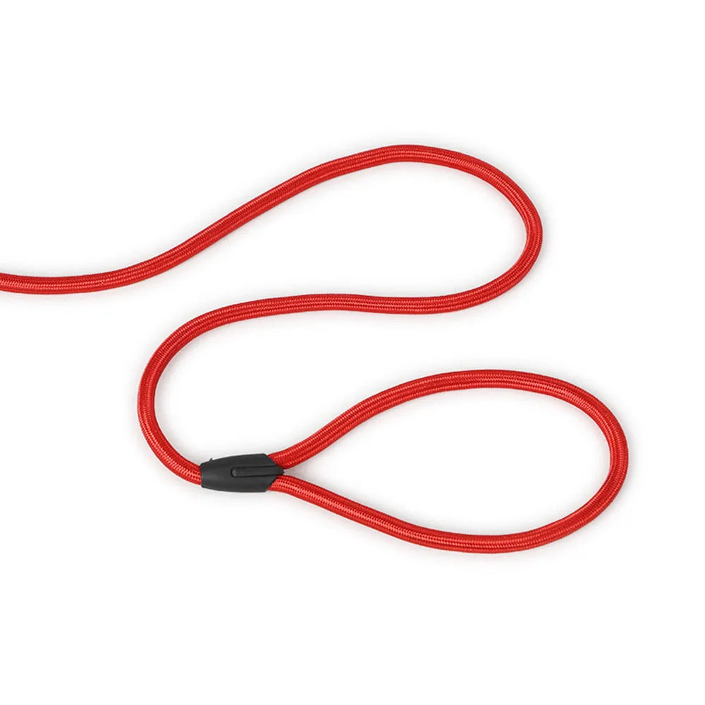 Nylon Slip Rope Dog Leash – No-Pull Training Lead for Small Dogs