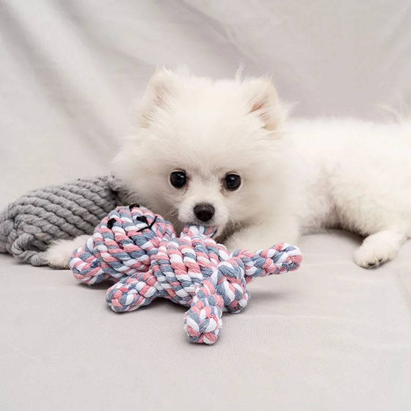 Bite-Resistant Rope Knot Ball Chew Toy for Small Dogs – Teeth Cleaning Puppy Toy
