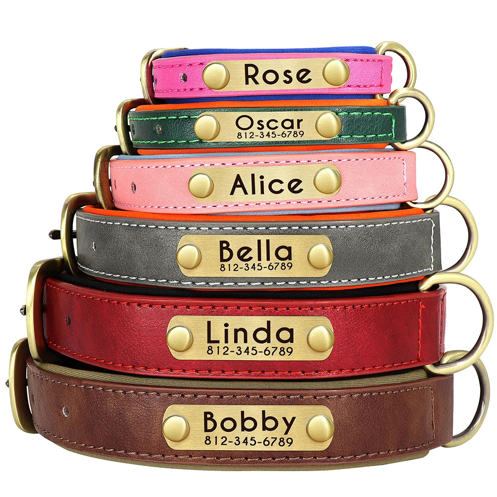 Custom Leather Dog Collar & Leash Set – Soft Padded with Engraved Nameplate