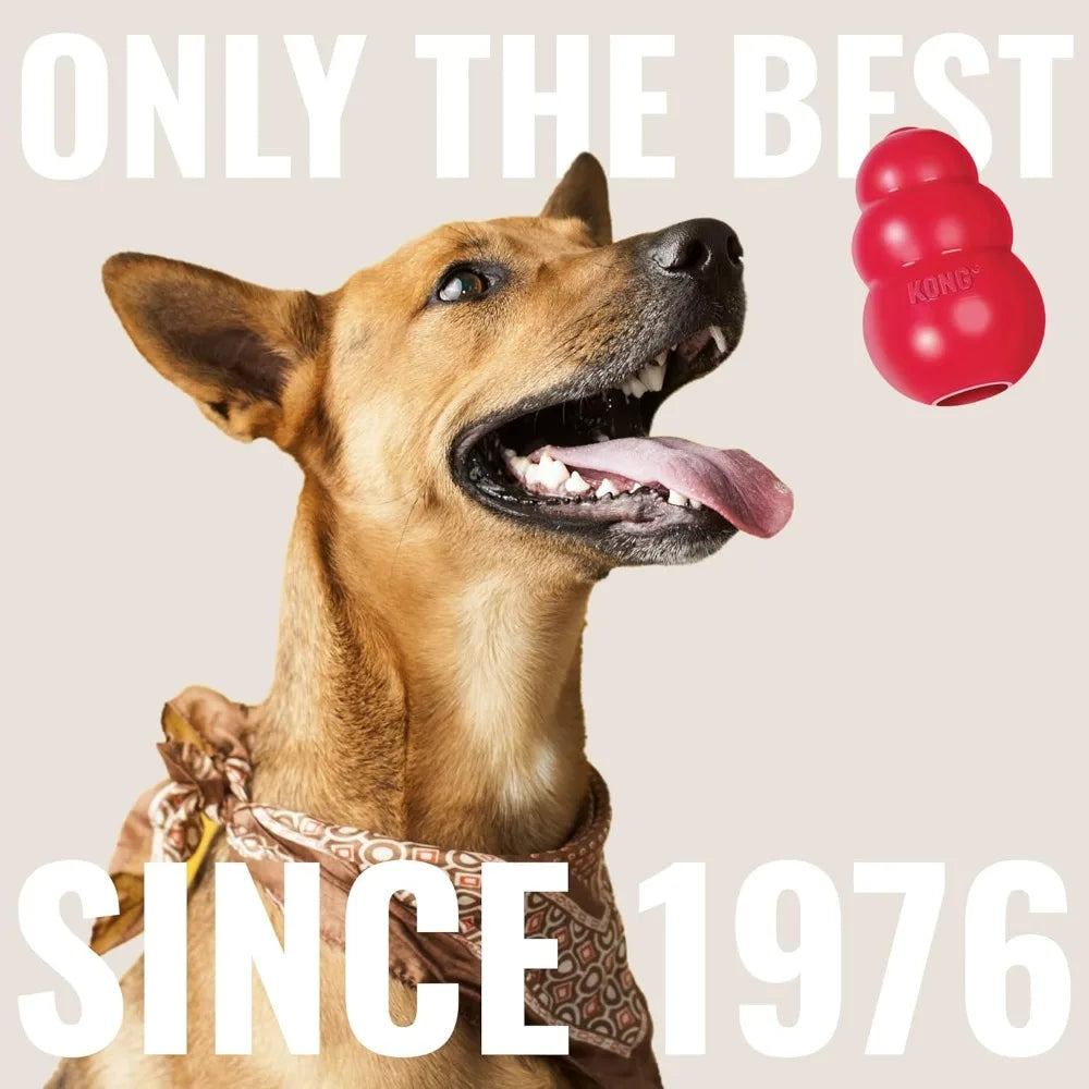 KONG Floppy Knots & Signature Balls – 2 Pack Dog Toys 🐶🎾