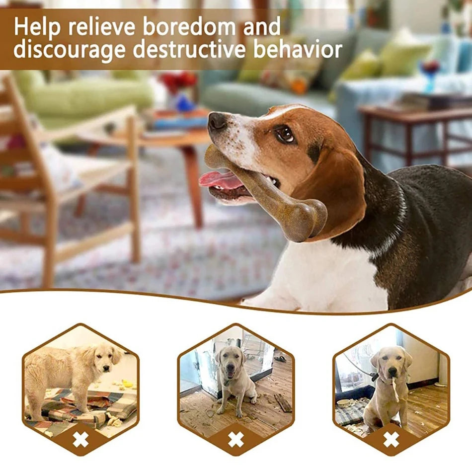 Indestructible Dog Chew Toy for Aggressive Chewers 🐶💪