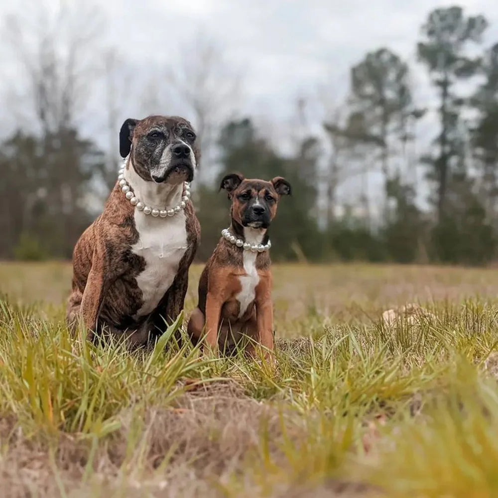 Elegant Imitation Pearl Pet Collar – Durable Decorative Necklace for Small Dogs & Cats