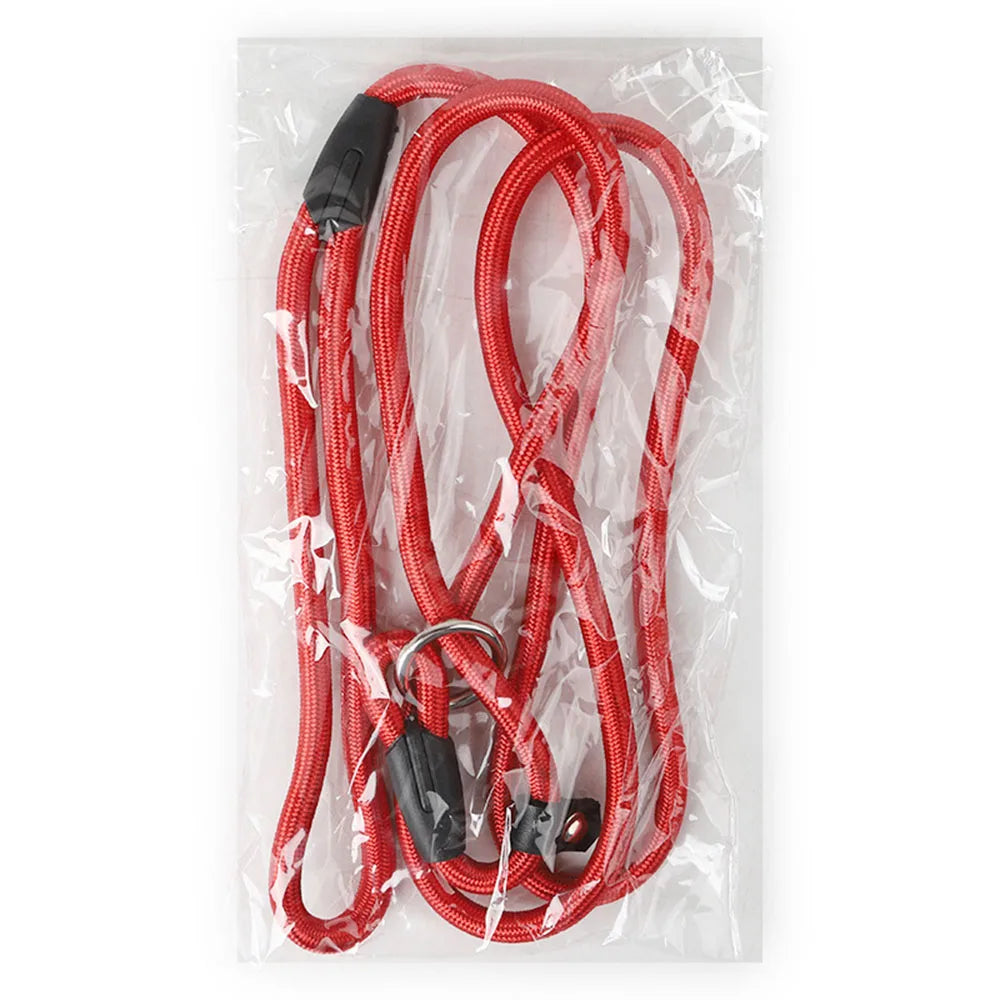 Nylon Slip Rope Dog Leash – No-Pull Training Lead for Small Dogs