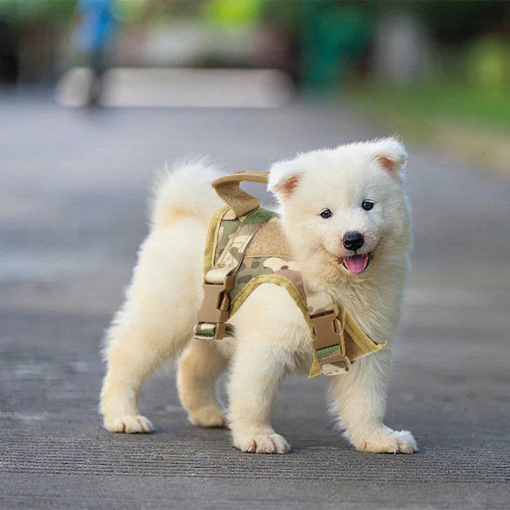 Tactical Cat Harness & Leash – Adjustable Vest for Cats, Kittens & Small Dogs