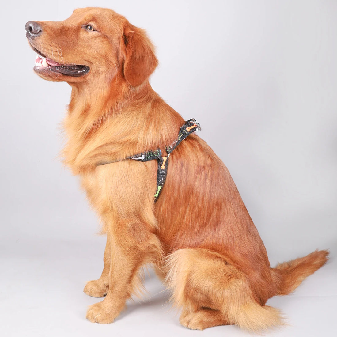 🦴 Colorful Bone Pattern Tripod Dog Harness – Fun & Secure for Indoor & Outdoor Use