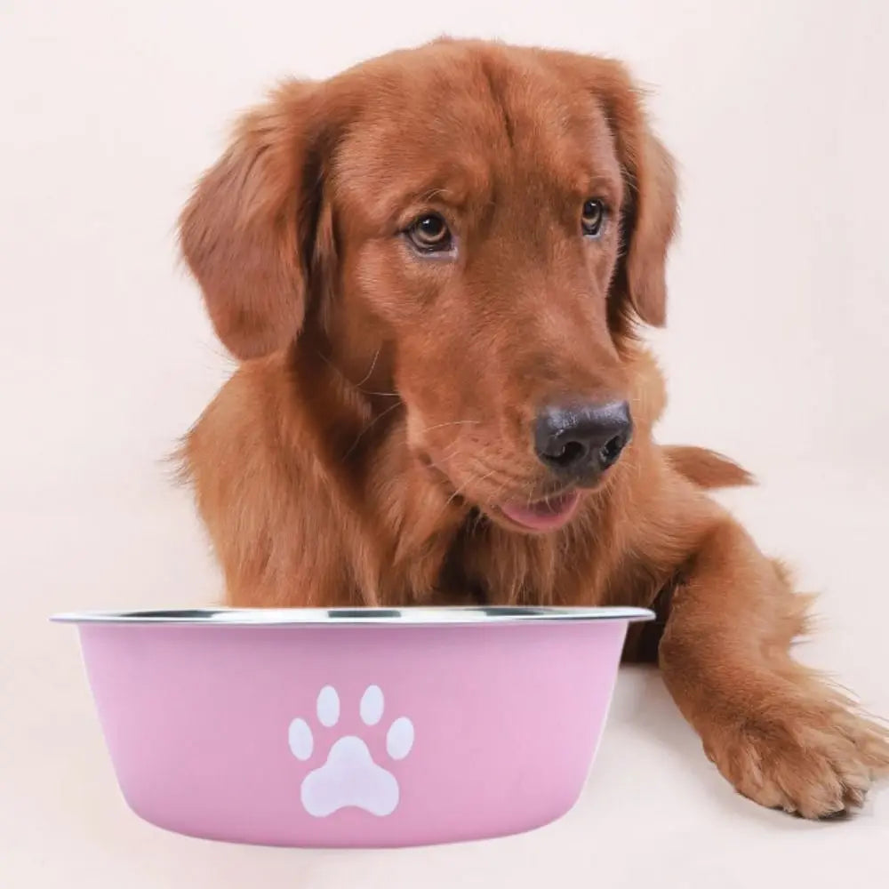 Large Capacity Stainless Steel Non-Slip Pet Bowl – Double-Layer Water & Food Bowl for Dogs & Cats