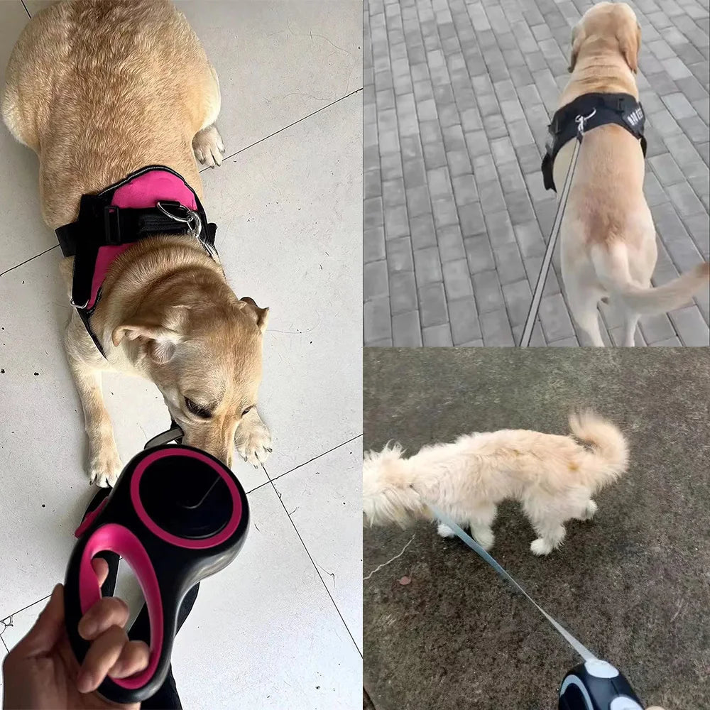 Retractable Pet Leash – 5M/8M Outdoor Lead for Dogs & Cats