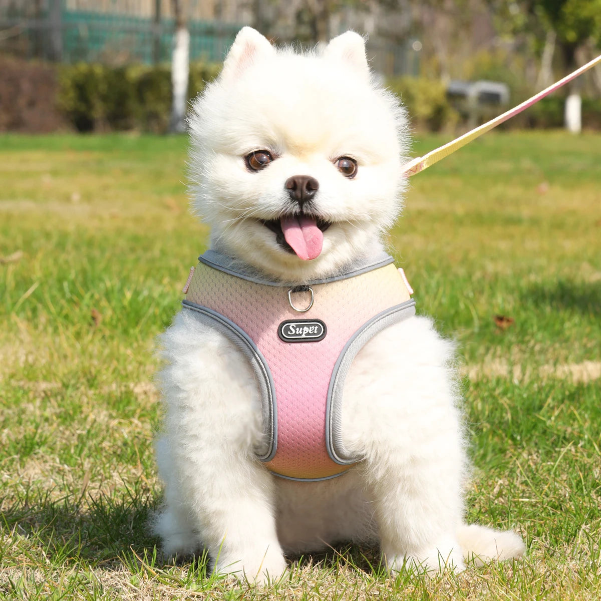 🐾 Supet Step-In Pet Harness – Adjustable, Reflective & Breathable for Dogs & Cats 🐶🐱