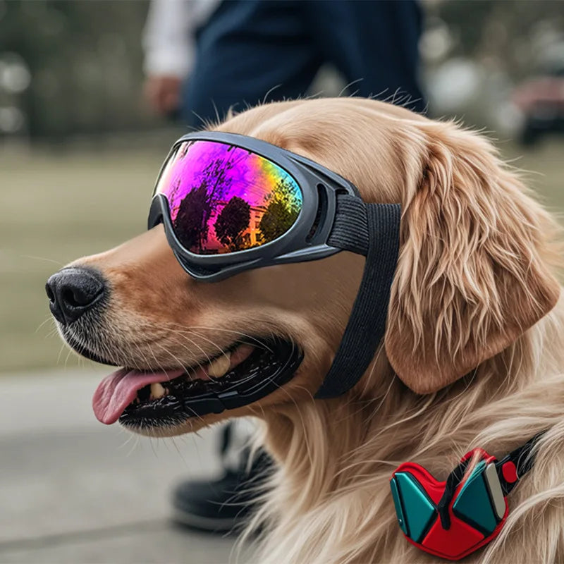 Dog Goggles – UV-Protective Windproof Sunglasses for Large Dogs