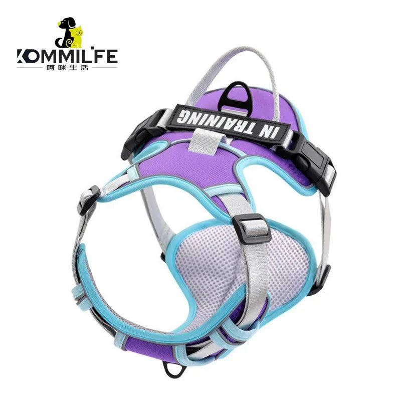 🐾 Personalized Nylon Adjustable Dog Harness – Reflective, Breathable Vest with Leash for Small, Medium & Large Dogs