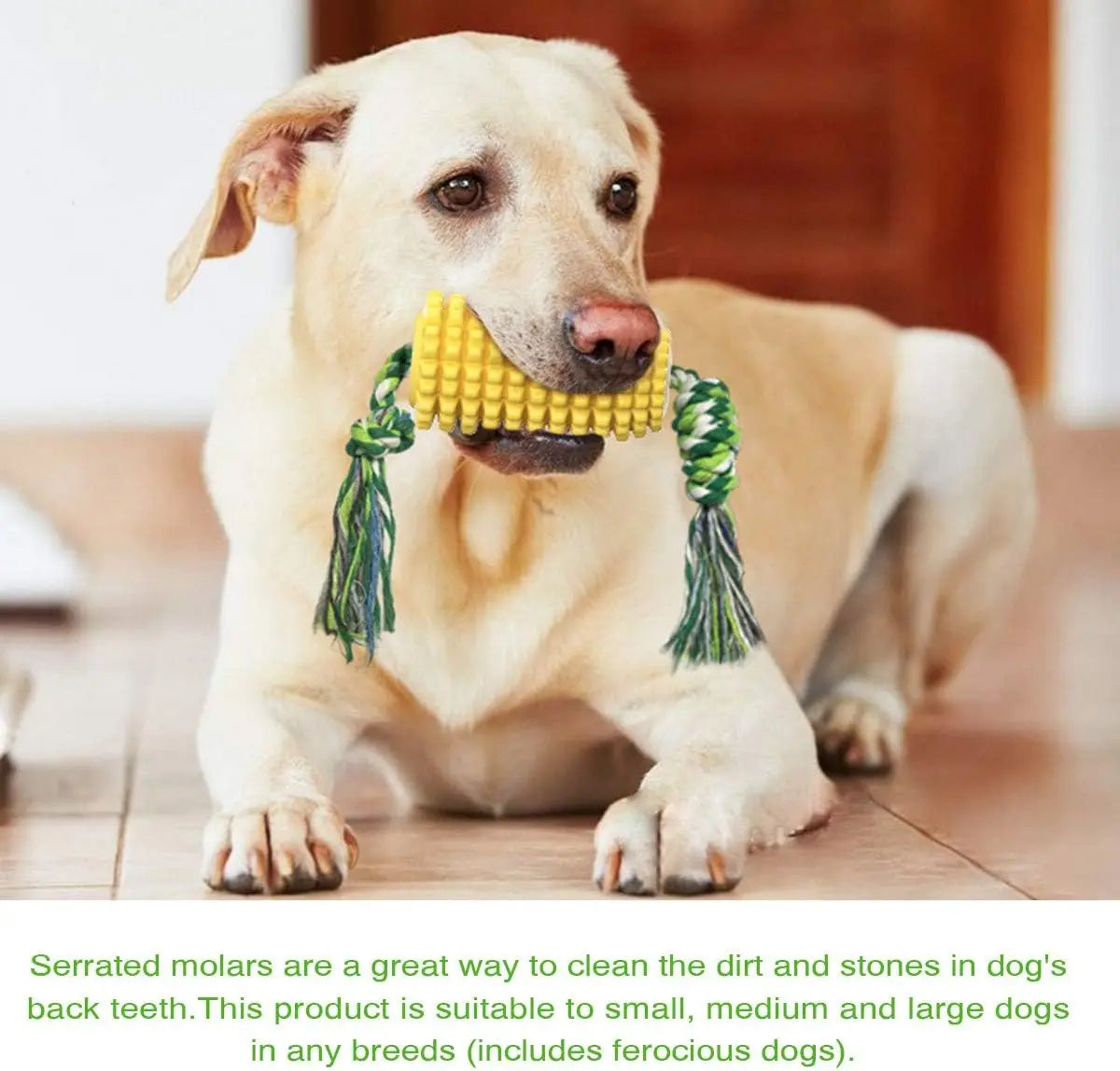 Corn Dog Chew Toys – Toothbrush Style for Aggressive Chewers, Teeth Cleaning & Interactive Play (Medium/Large Breeds)