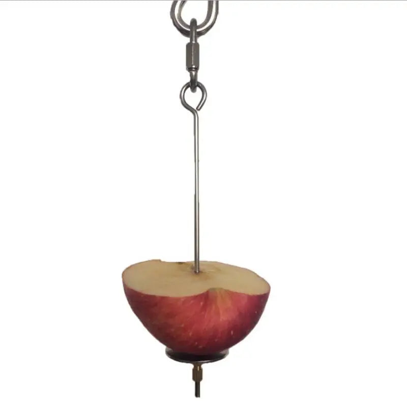 Stainless Steel Bird Toy Skewer – Fruit & Veggie Hanging Holder for Parrots and Small Animals