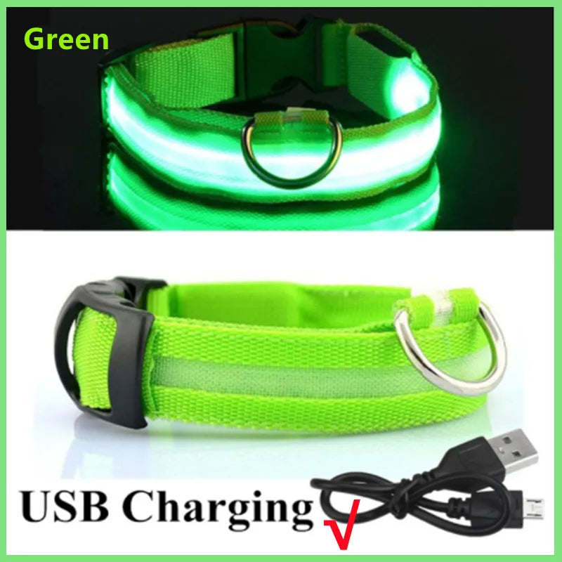 USB Rechargeable LED Glowing Pet Collar – Adjustable Night Light Safety Collar for Dogs & Cats