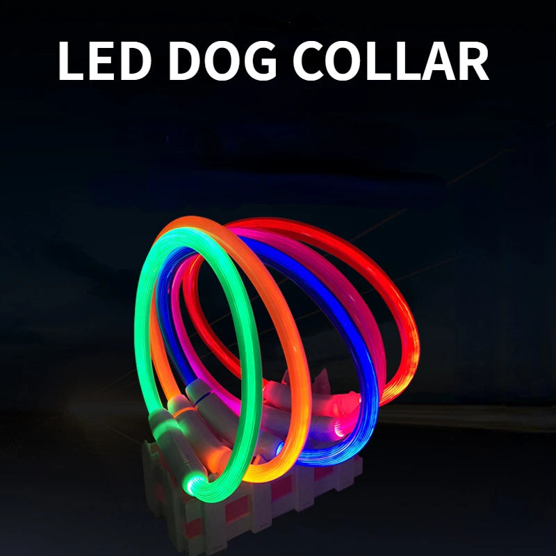 💡 LED Pet Luminous Collar – USB Rechargeable Anti-Lost Safety Collar for Dogs & Cats