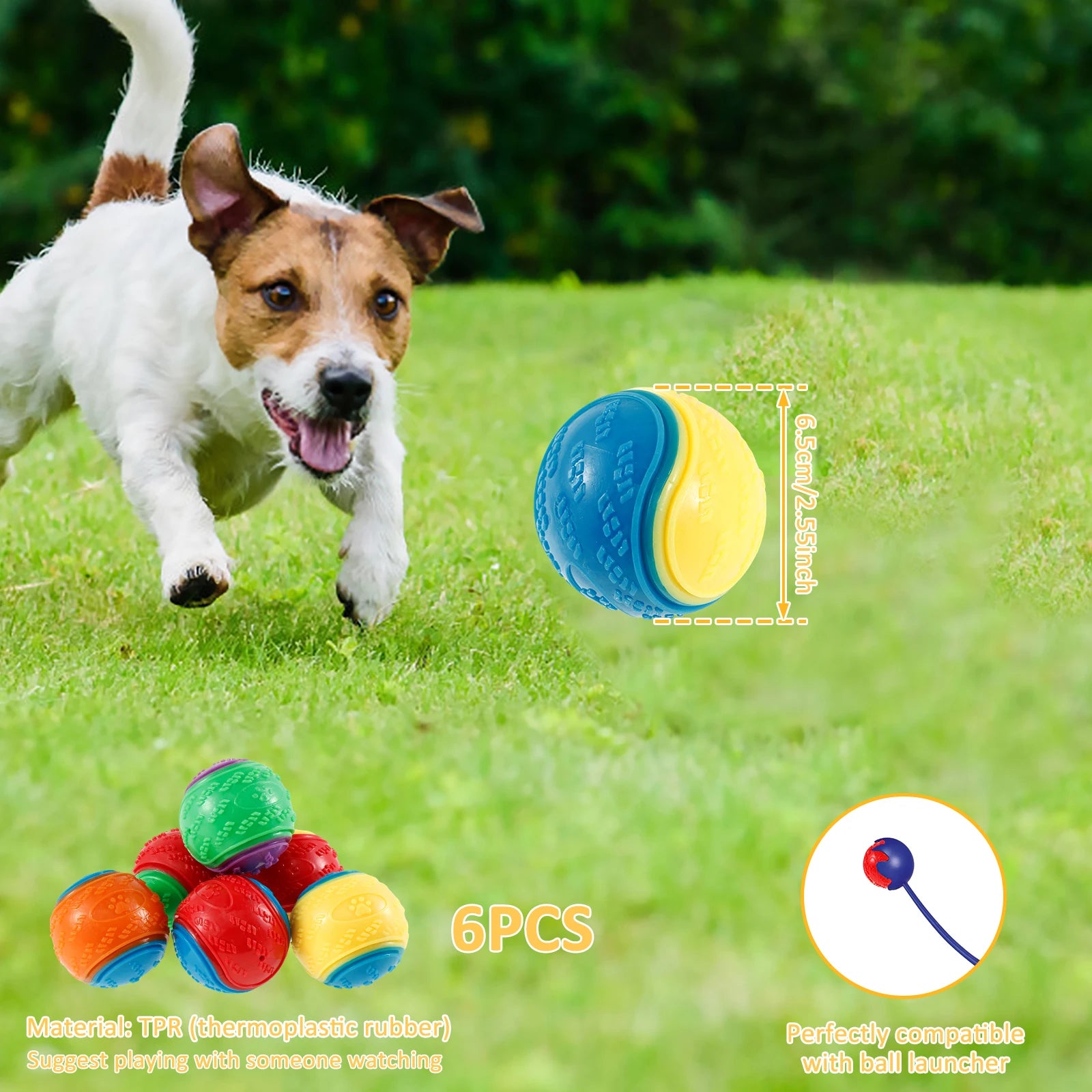 6PCS Squeaky Dog Balls – Interactive TPR Chew Toys for Dogs, Bite-Resistant & Teeth Cleaning Pet Toys