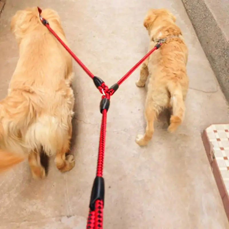 Double Dog Leash – Durable Traction Rope for 2 Dogs 🐕🐕‍🦺
