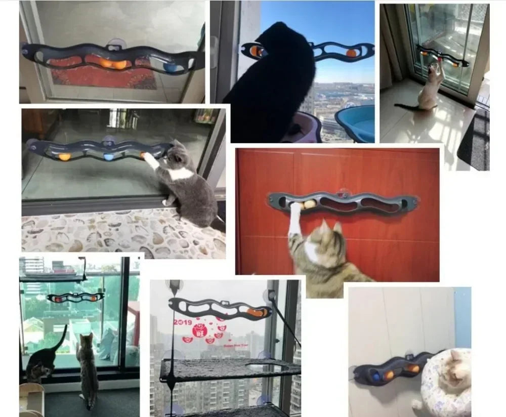 Interactive Suction Cup Track Ball Cat Toy – Window-Mounted Table Tennis Ball Toy for Active Indoor Cats & Kittens