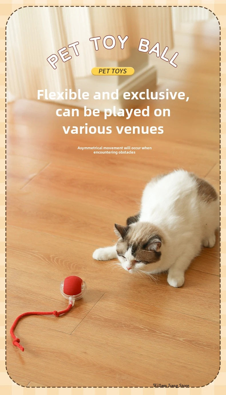 Smart Rolling Ball Toy – Rechargeable Interactive Toy for Cats & Dogs