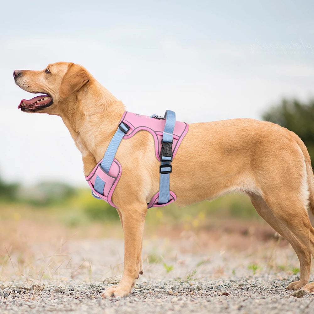 🐕 Mesh Breathable Reflective Dog Harness – Adjustable Nylon Training Vest for Small, Medium & Large Dogs