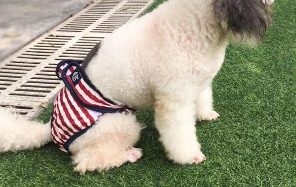 Washable Dog Diaper Shorts – Female Sanitary Panties for Menstruation