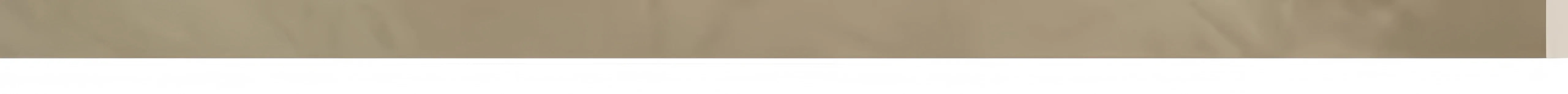 Cat Litter Mat – Non-Slip, Waterproof, Double-Layer Pet Mat for Clean Litter Box