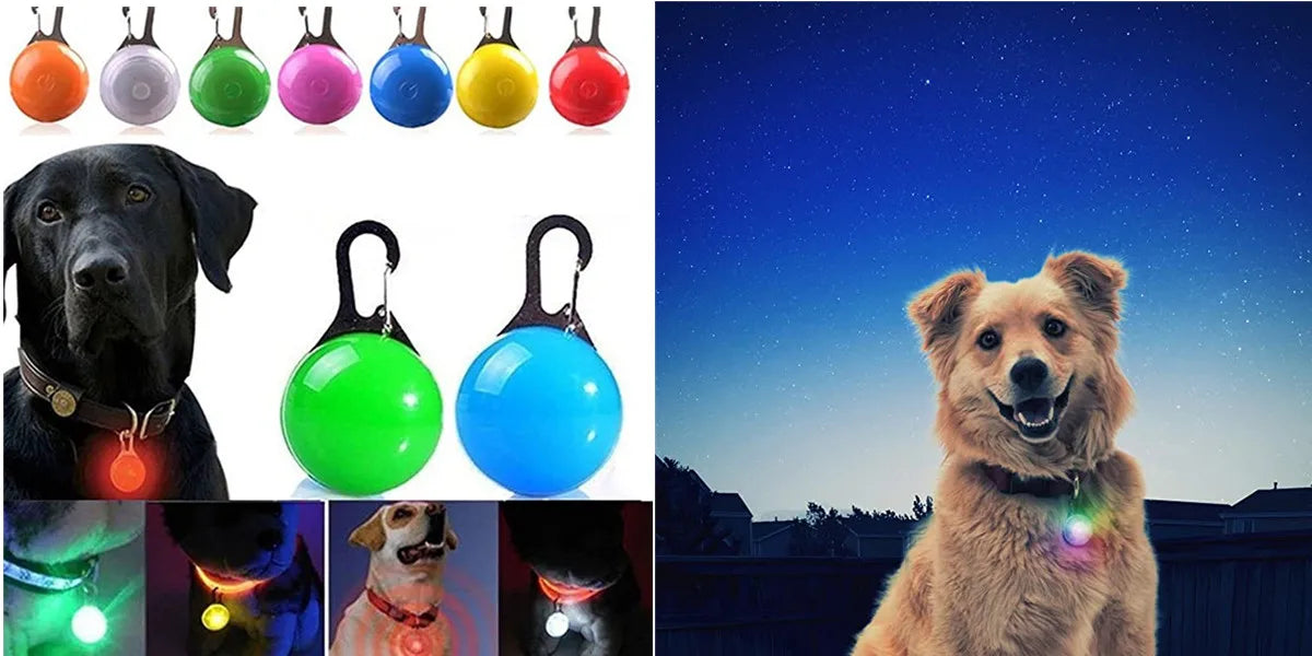 USB Rechargeable LED Glowing Pet Collar – Adjustable Night Light Safety Collar for Dogs & Cats