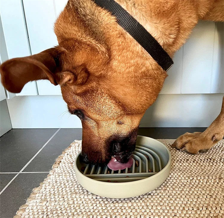 Slow Feeder Pet Bowl – Anti-Slip & Anti-Choking for Cats & Puppies 🐾🍽️