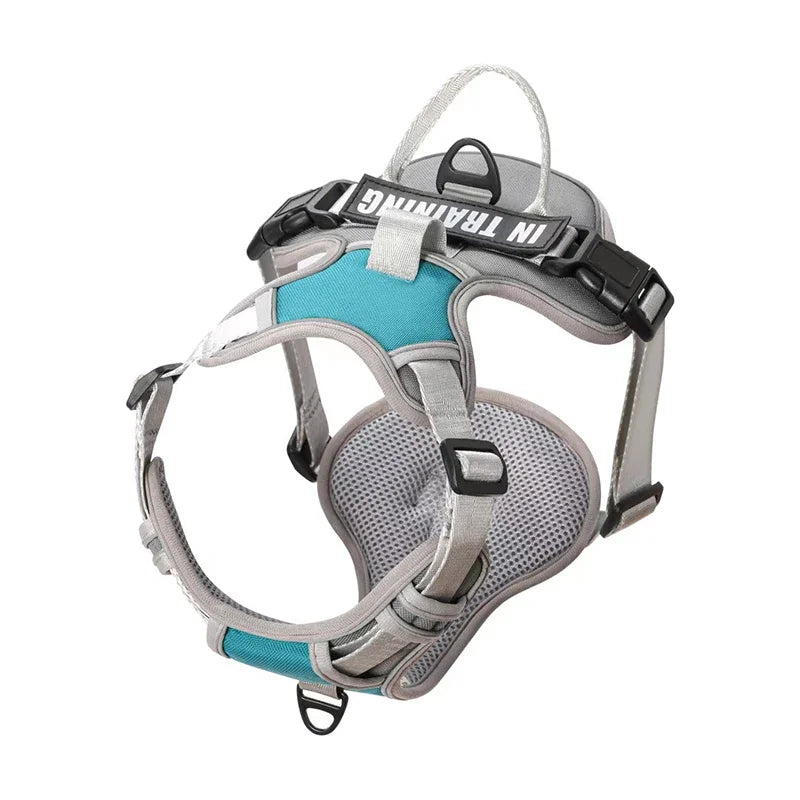 🐾 Personalized Nylon Adjustable Dog Harness – Reflective, Breathable Vest with Leash for Small, Medium & Large Dogs
