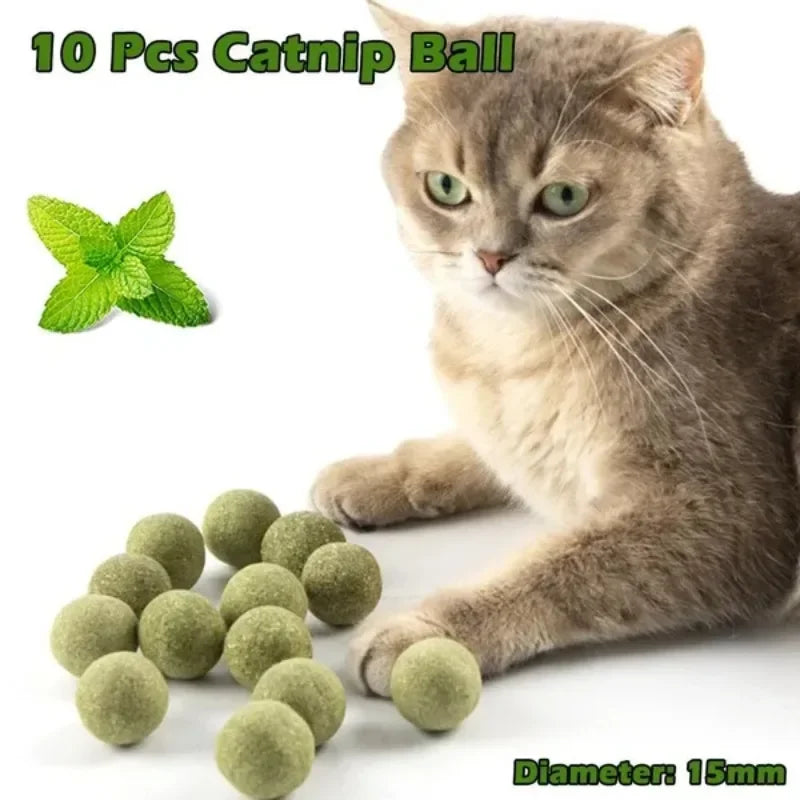 10pcs Natural Mint Catnip Balls – Healthy Toy & Snack for Cats